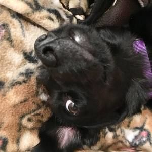 Meet your Posher, Meghan